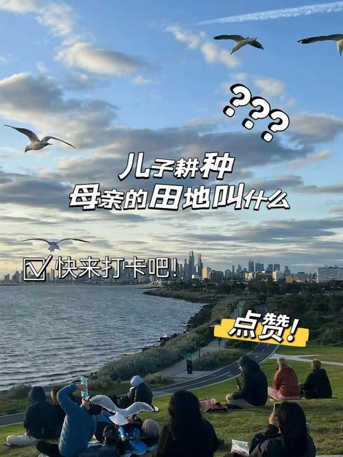 儿子耕种母亲的田地叫什么名字