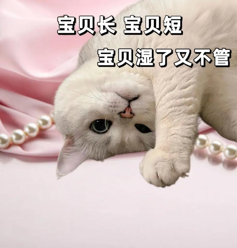 宝贝今天可不可以不带小雨伞