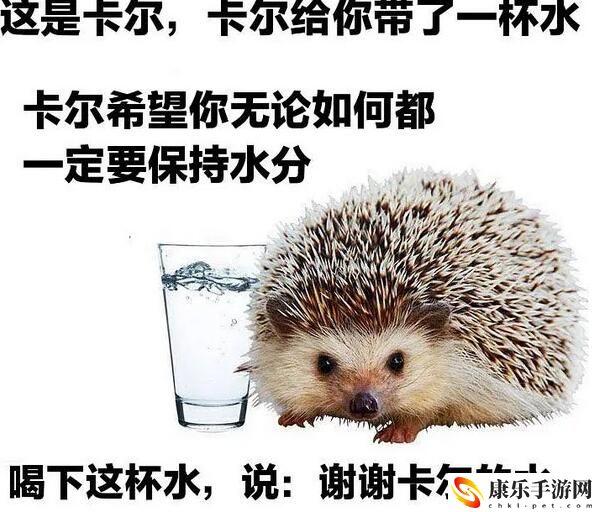 谢谢泡泡梗的意思含义出处介绍