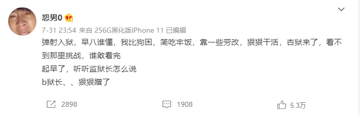 靠一些平替是什么梗 怨男0油麦是什么意思