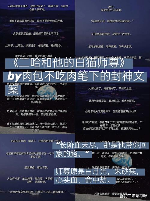 老乞丐未尽的命运长篇