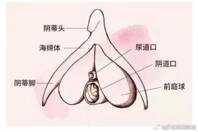 大荫蒂BBBBBB大荫蒂