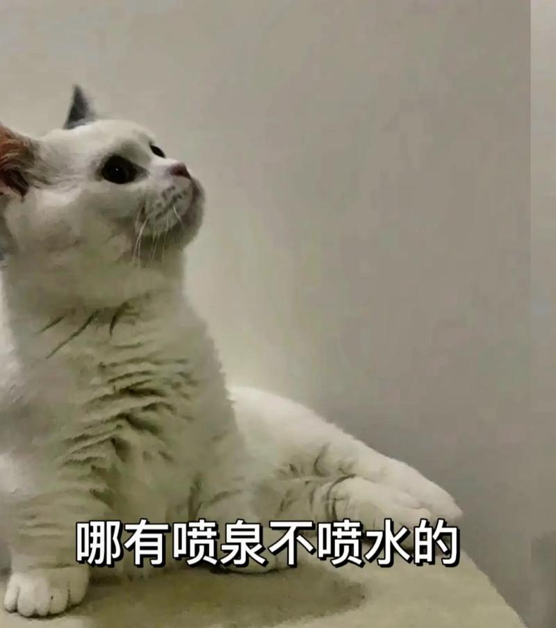 爽、躁、多水、快、深点了