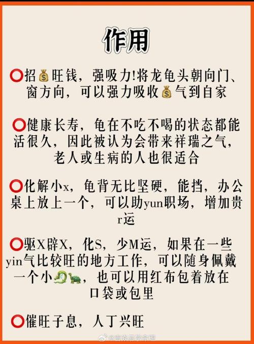 大BBBBBB老人的爱情与财运