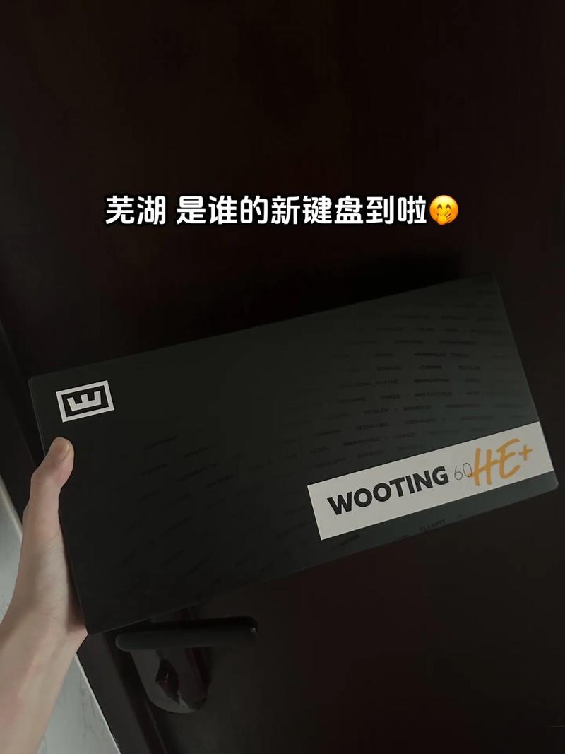 暴躁少女csgo免费观看