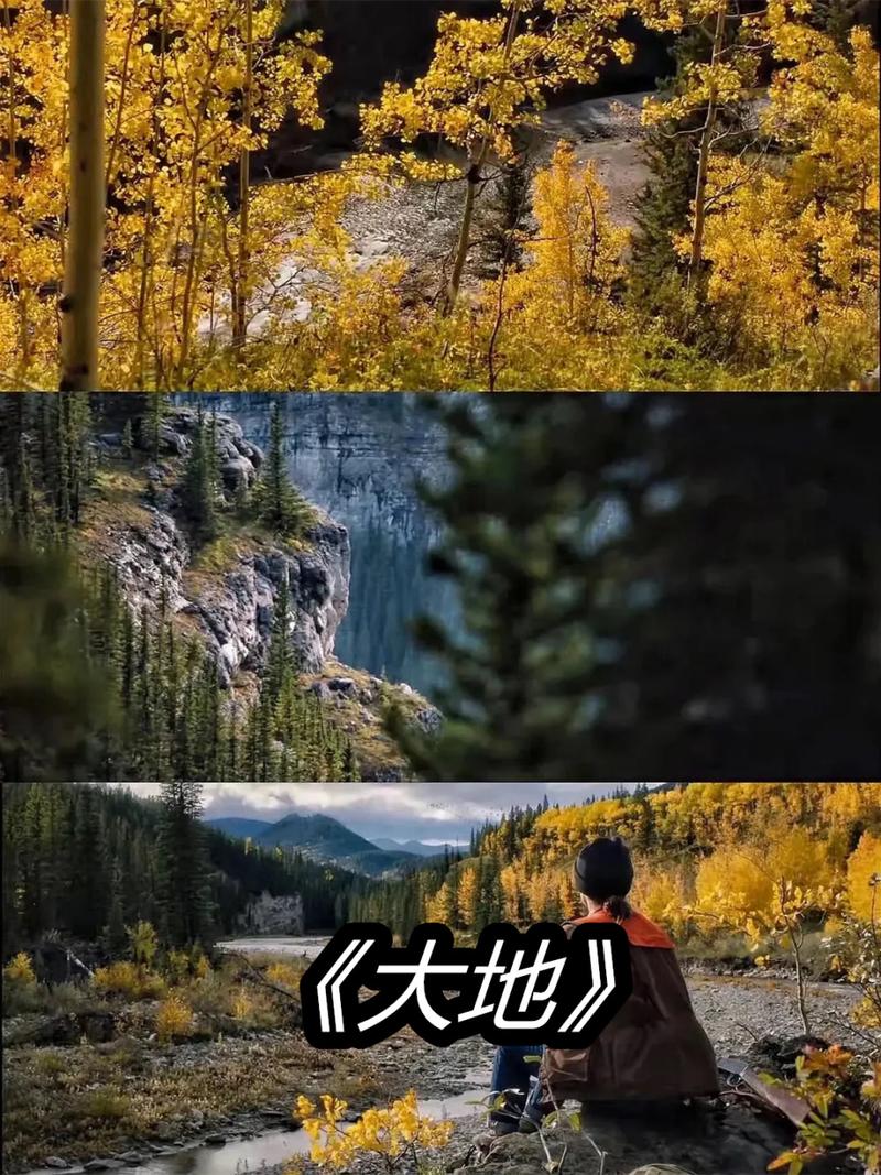 在线观看大地资源三8