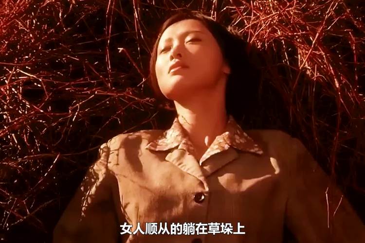 《漂亮的女邻居》HD